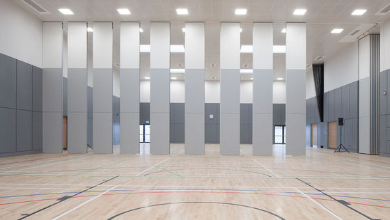 comprar Sala de reuniões Porta deslizante pendurada Sala de banquetes Parede divisória online manufacture